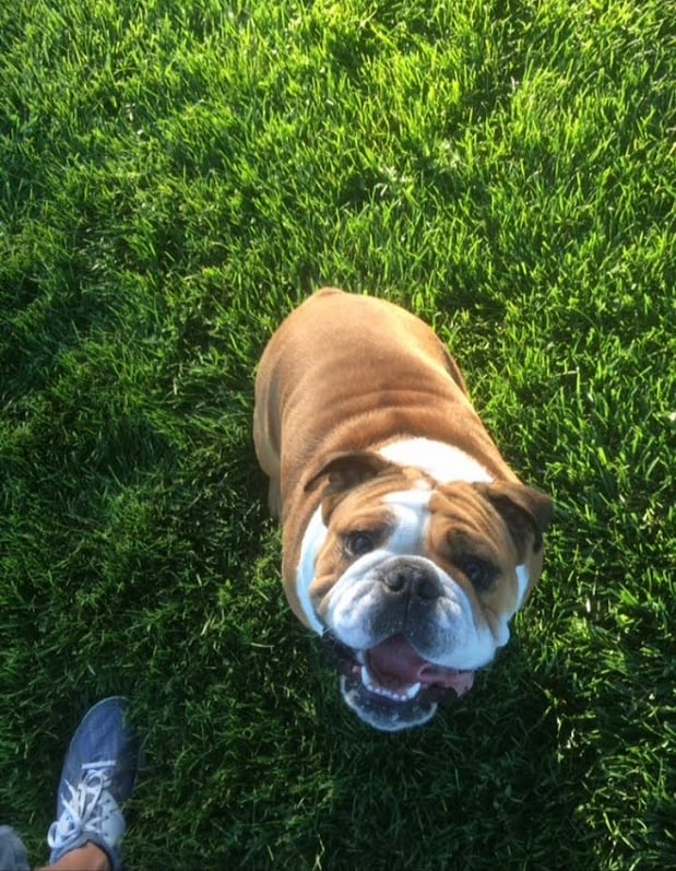 Images Dan Wiemer: Allstate Insurance