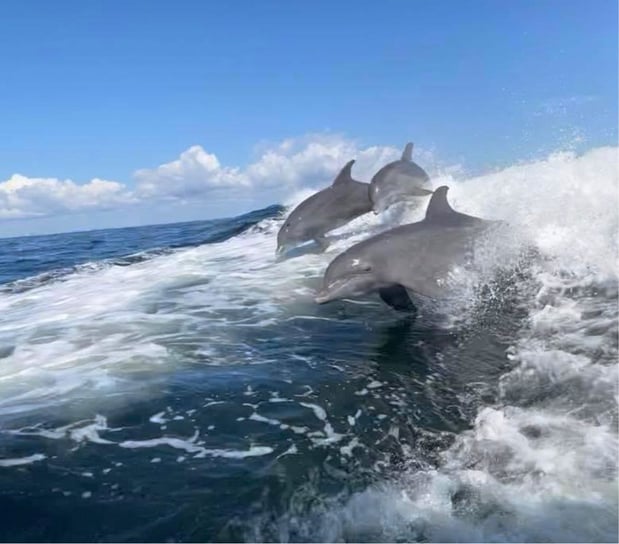 Images Punta Gorda Adventures