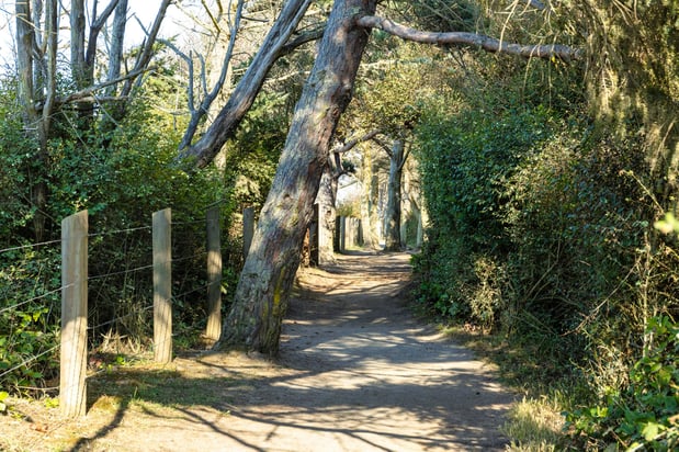 Images Holiday Inn Express & Suites Sequim by IHG