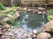 Images Glorious Ponds