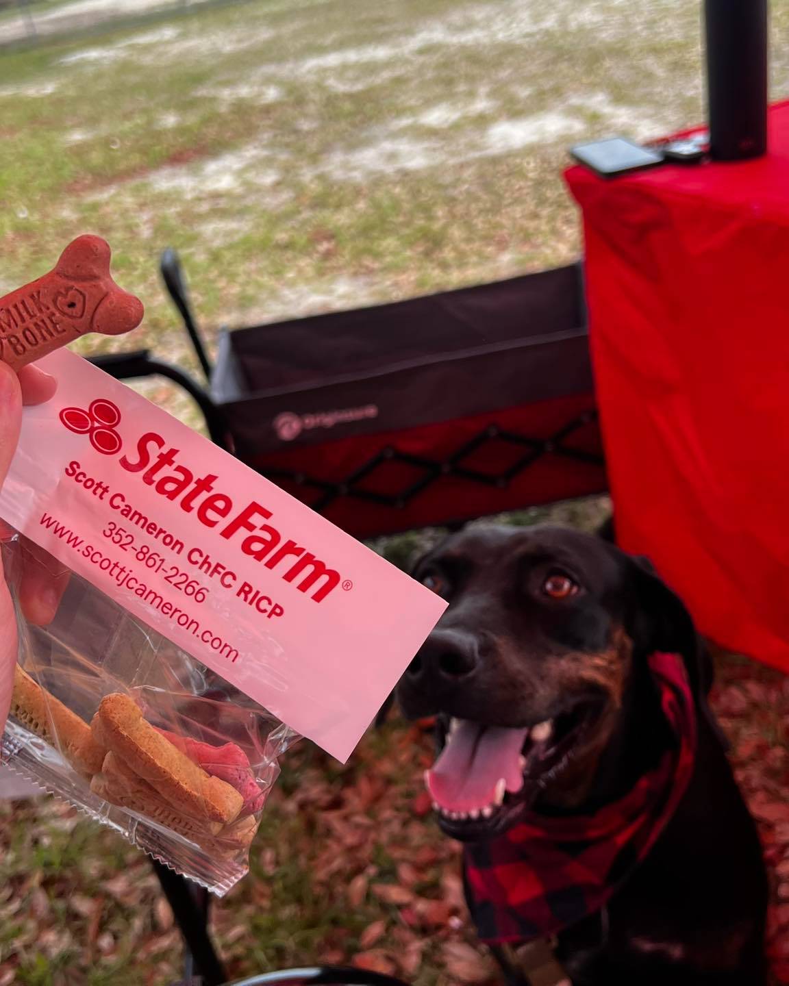 We had a great time at the Nothing But Dogs event today. Our unofficial office mascot even stopped b 