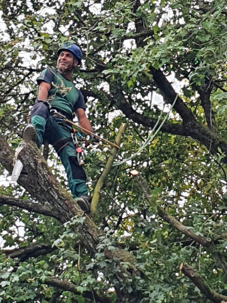 Erft GaLaBau Kerpen, Lothringer Str. 23 in Kerpen