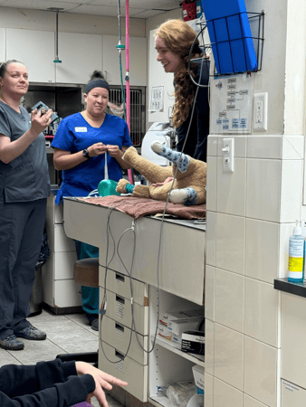 Images Madison Animal Hospital