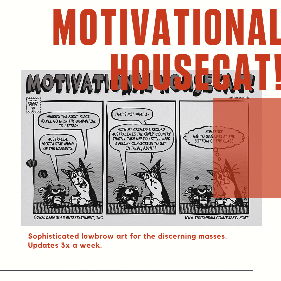The Best of Motivational Housecat! Starring Professor Meow Meow and The Angry Bee comics Vol.1 and 2 are available from amazon with free PRIME shipping, and a great return policy.