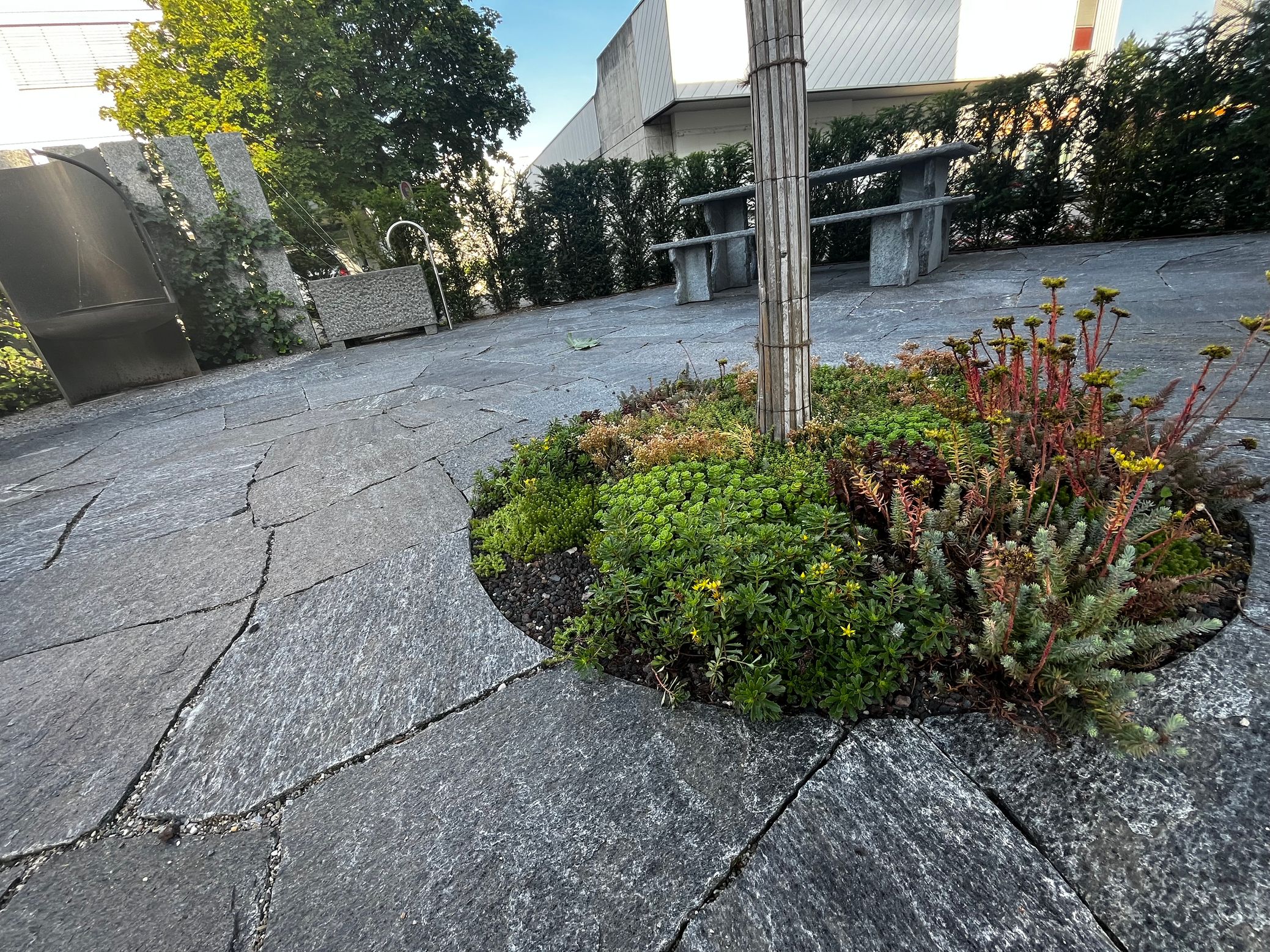 Bilder Schneider Gartengestaltung AG