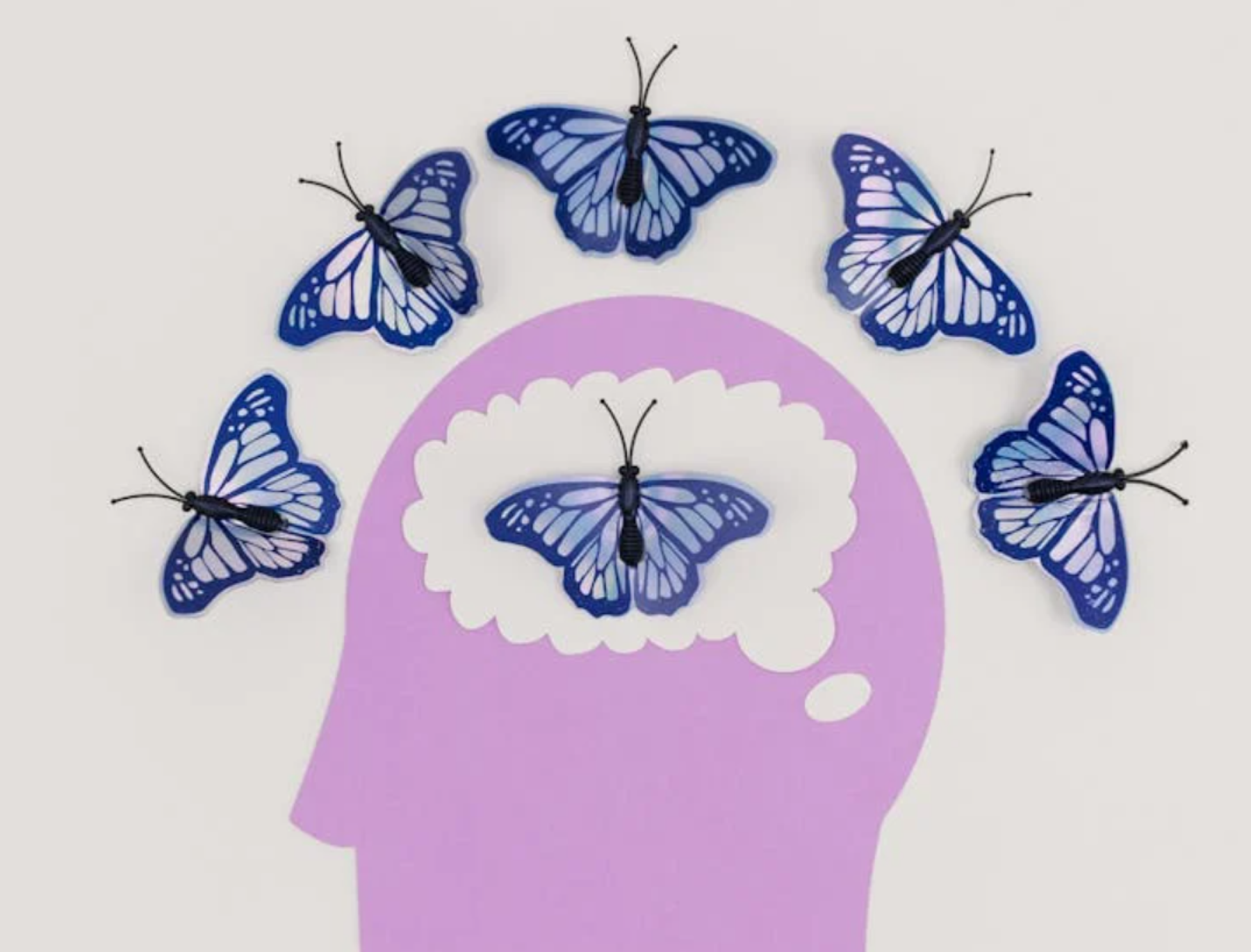 Images Acupuntura vital majadahonda