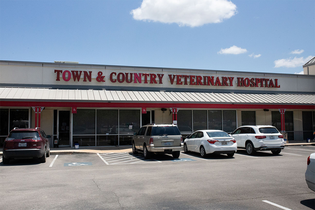 Image 6 | Town & Country Veterinary Hospital