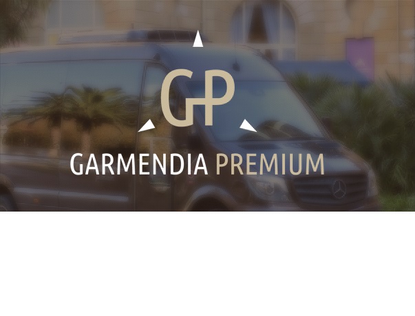 Images Taxis y Microbuses Garmendia Premium