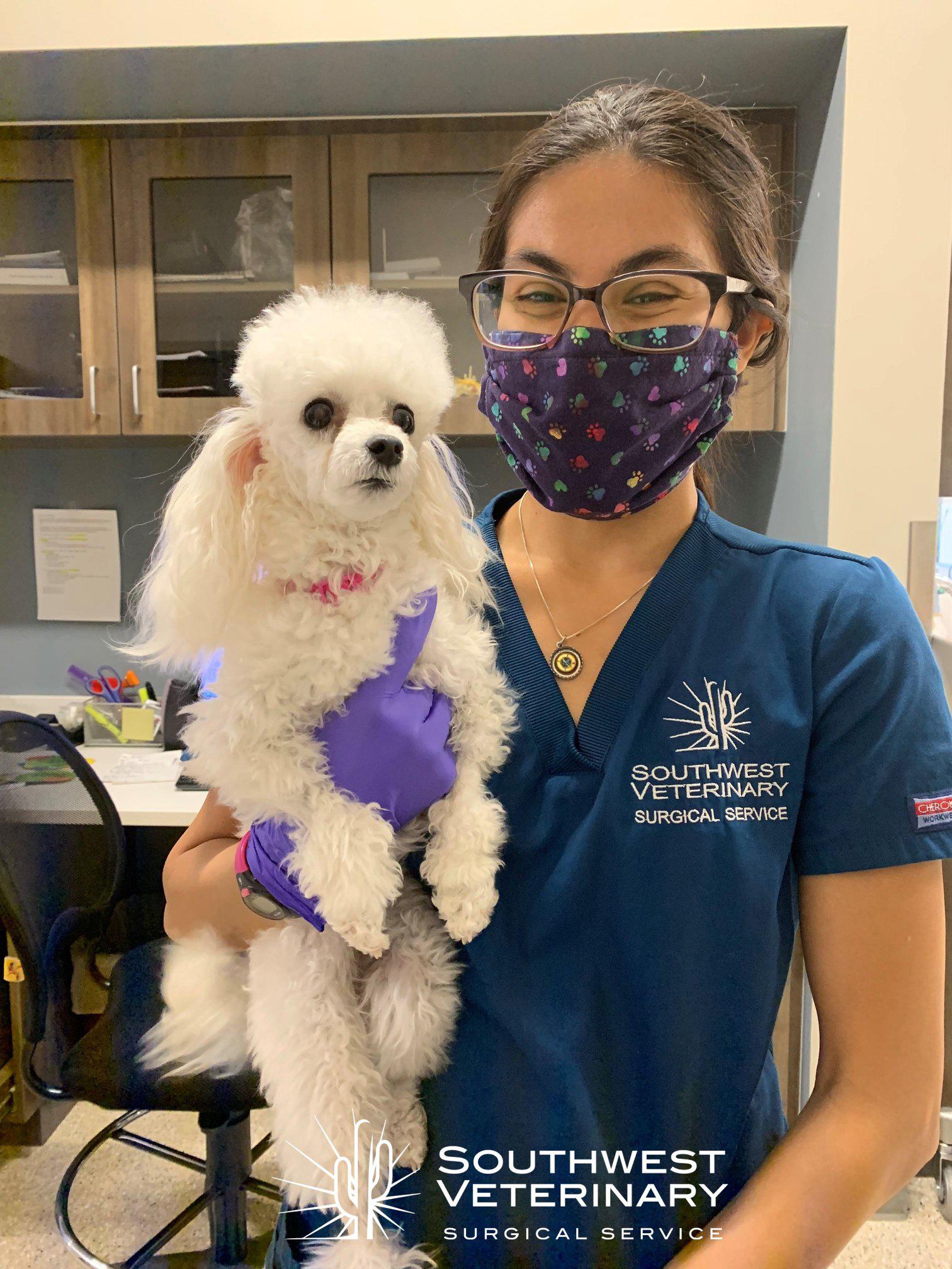 Southwest Veterinary Surgical Service, PC Photo