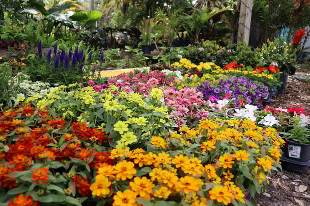 Images Terra Nova Nursery & Gardens