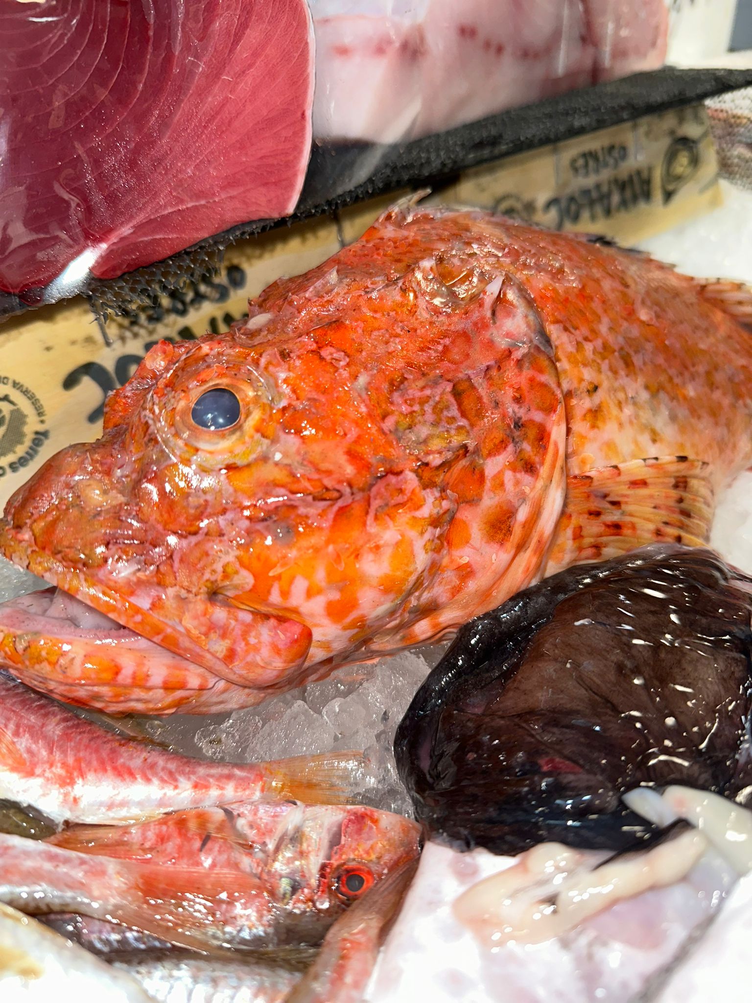 Images Peixateria de la Iaia Antònia