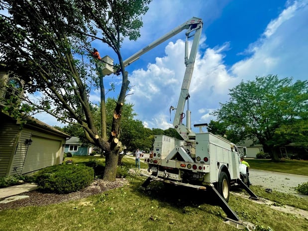 Images Snyder's Tree Service