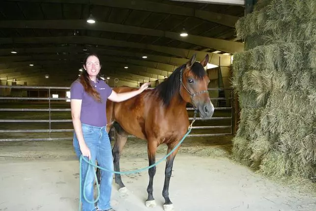 Images Equine Health Options