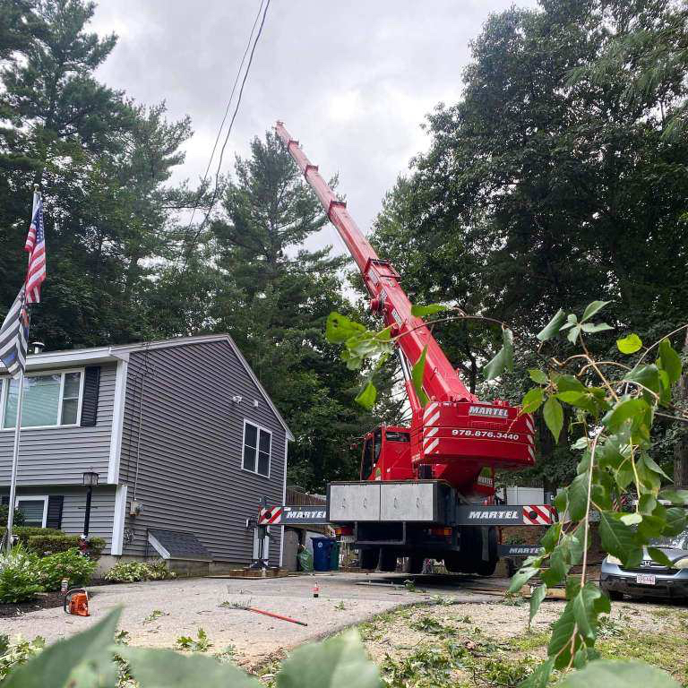 Martel Crane Service & Tree Removal Image