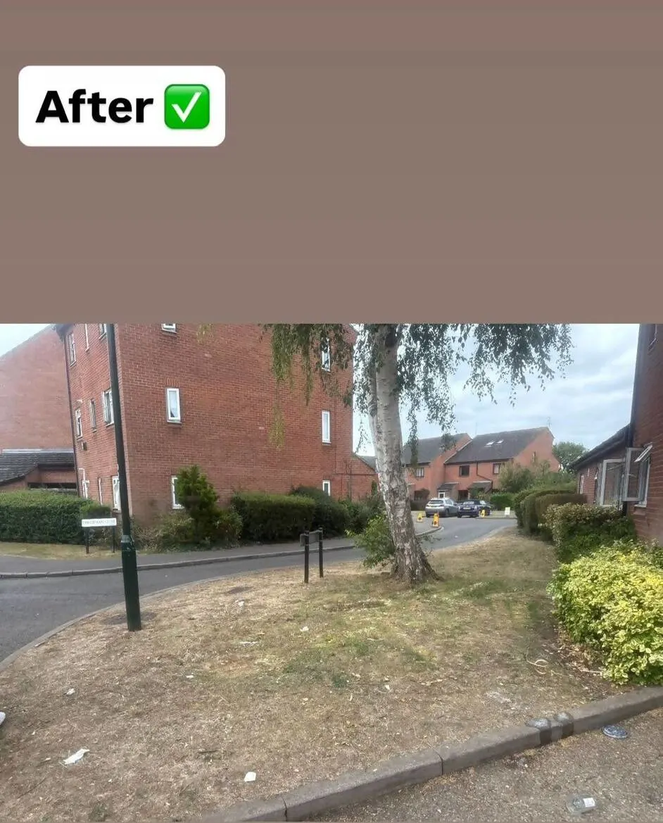 Images Bincredible Waste Solutions Ltd