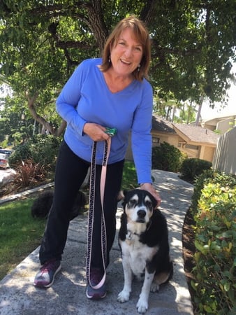 Images Del Mar Doggers dog walking, dog sitting, overnight stays