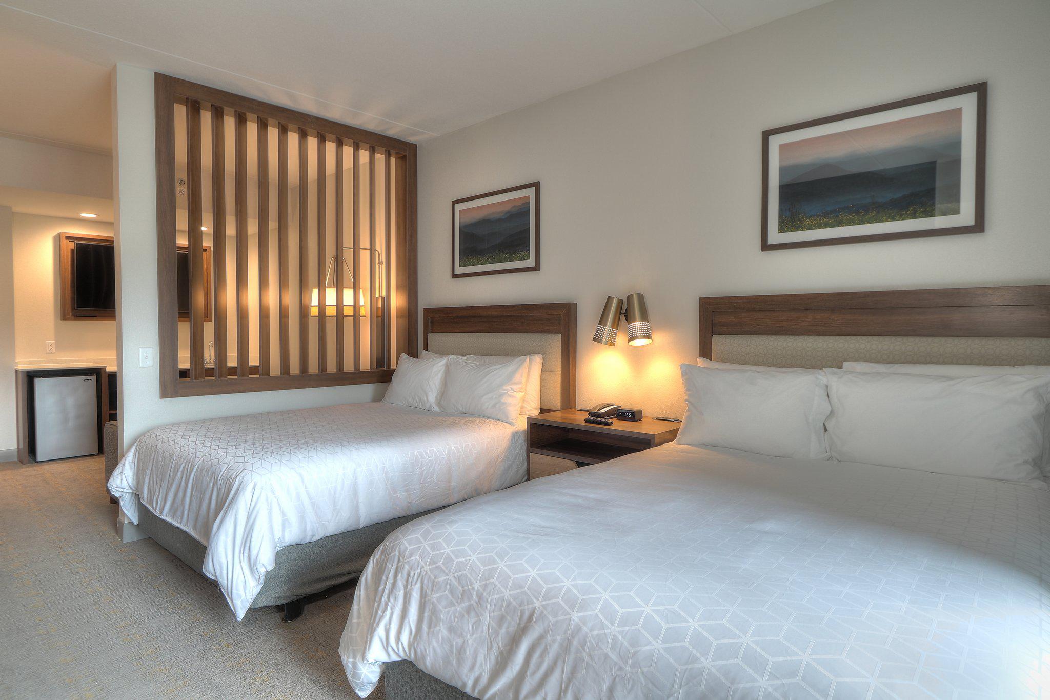 Holiday Inn & Suites Pigeon Forge Convention Center, an IHG Hotel Pigeon Forge (865)428-2525