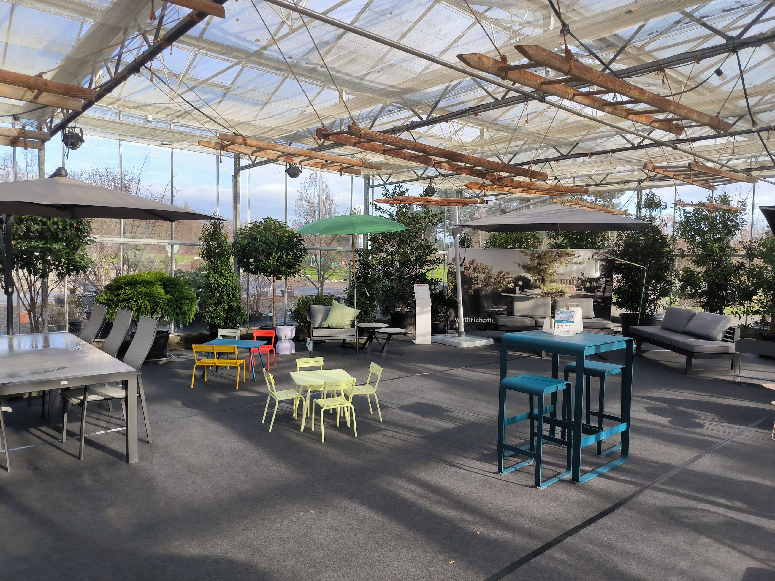 Bilder wüthrich pflanzen ag