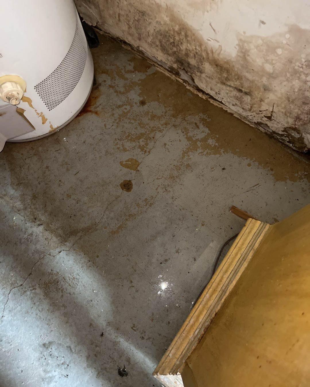 Once your home or business has a mold infestation, quick cleanup and remediation are vital to keepin SERVPRO of South Philadelphia / SE Delaware County Collingdale (610)237-9700