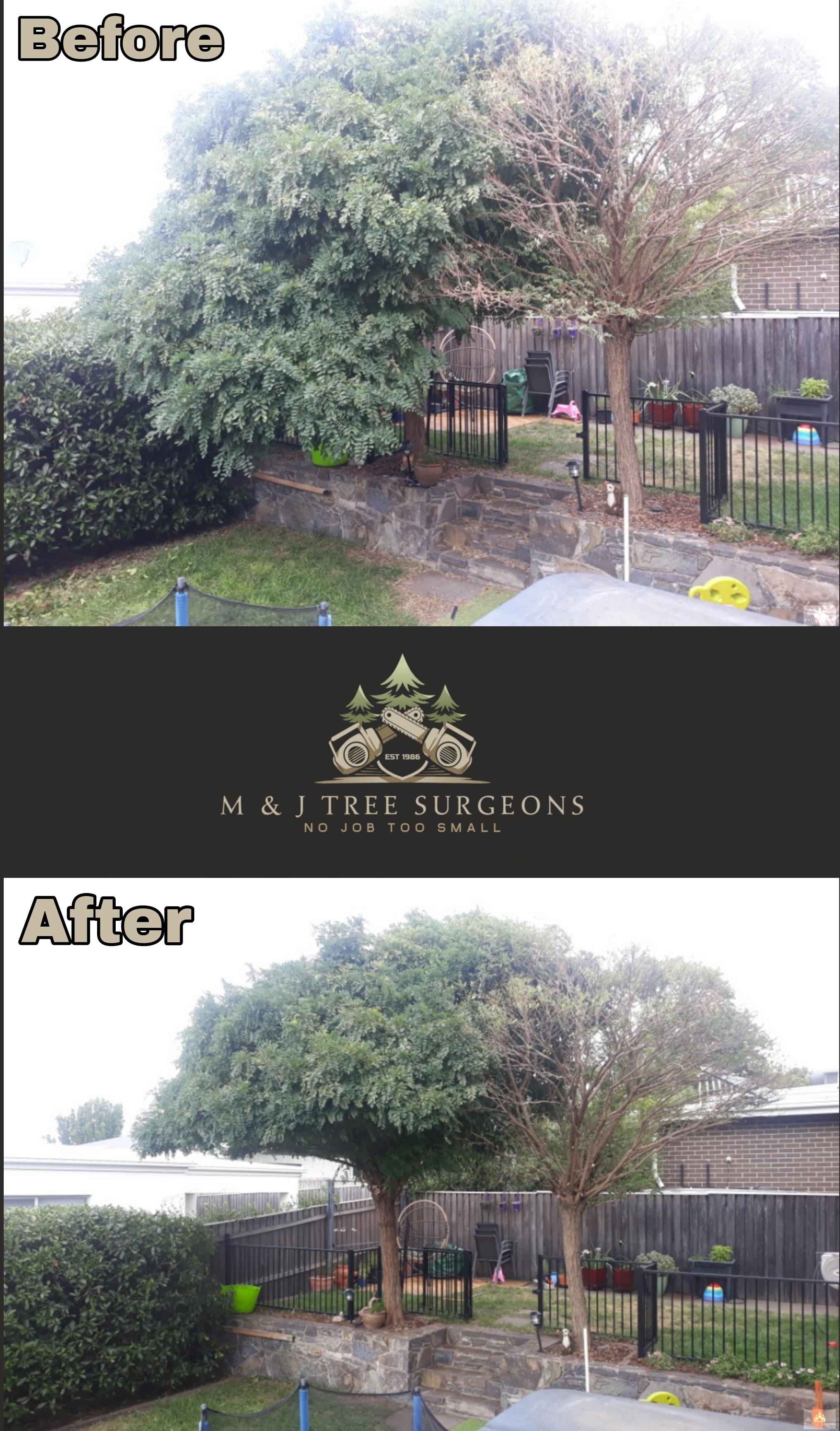 Images M & J Tree Surgeons