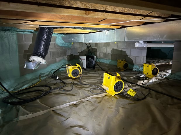 Images Restorex Disaster Restoration