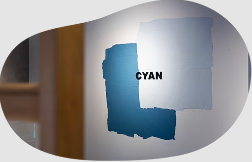 Images CYAN 綱島店