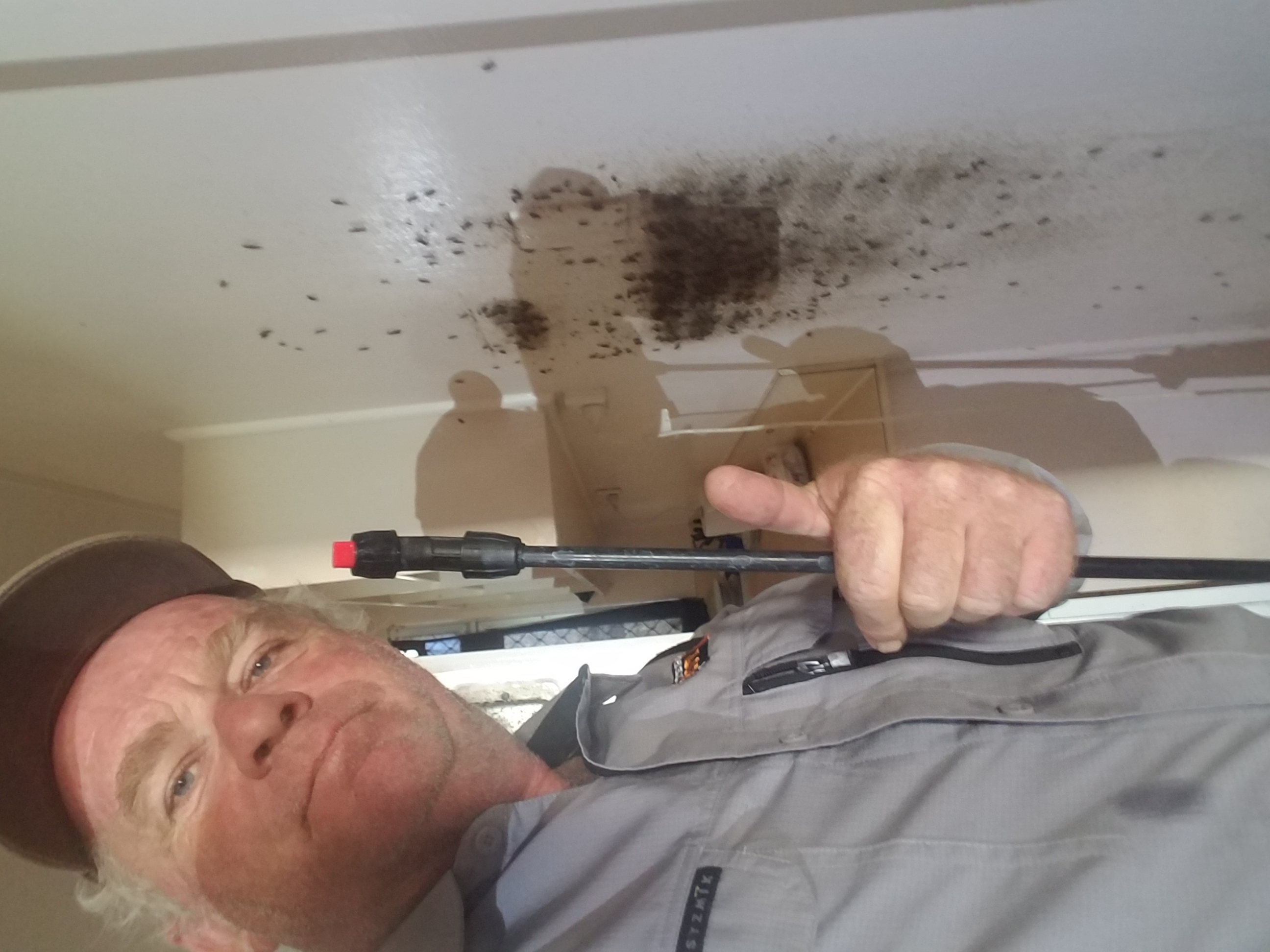 Images Newman Pest Control