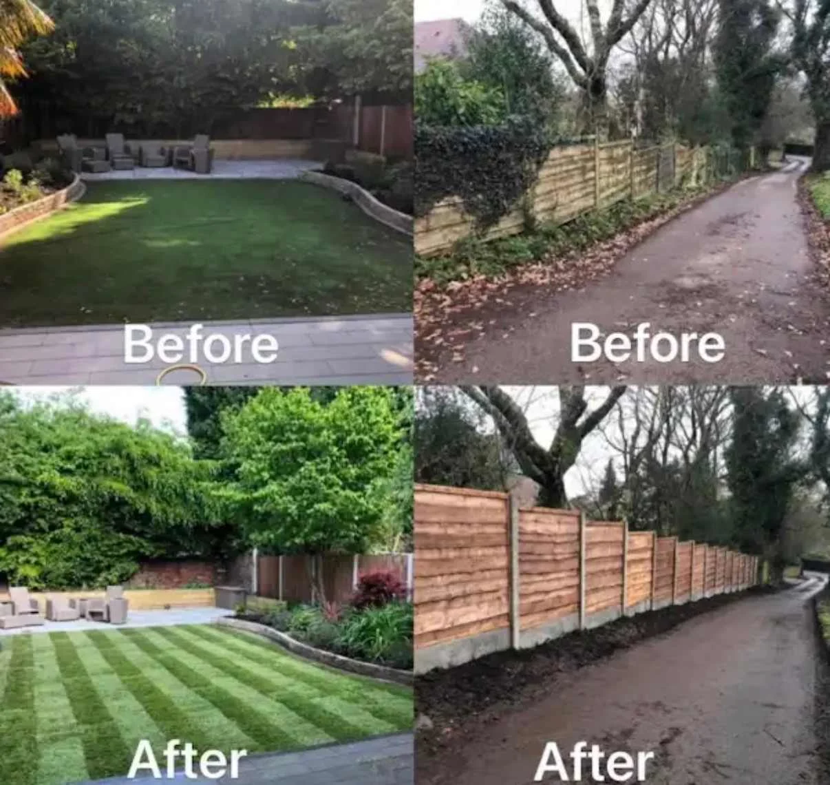 Images Tree Doctors & Landscaping