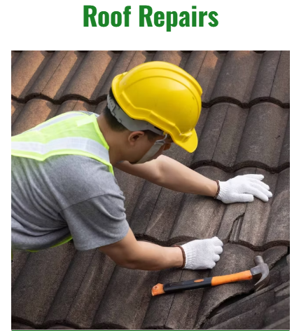 Exterior Cleaning, Softwash, Roof cleaning, powerwashing, gutter cleaning, gutter installations, Fascia & Soffits