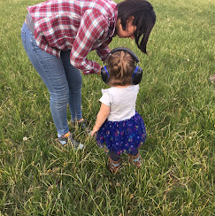 Mogote Meadow Cabins & RV Park Image