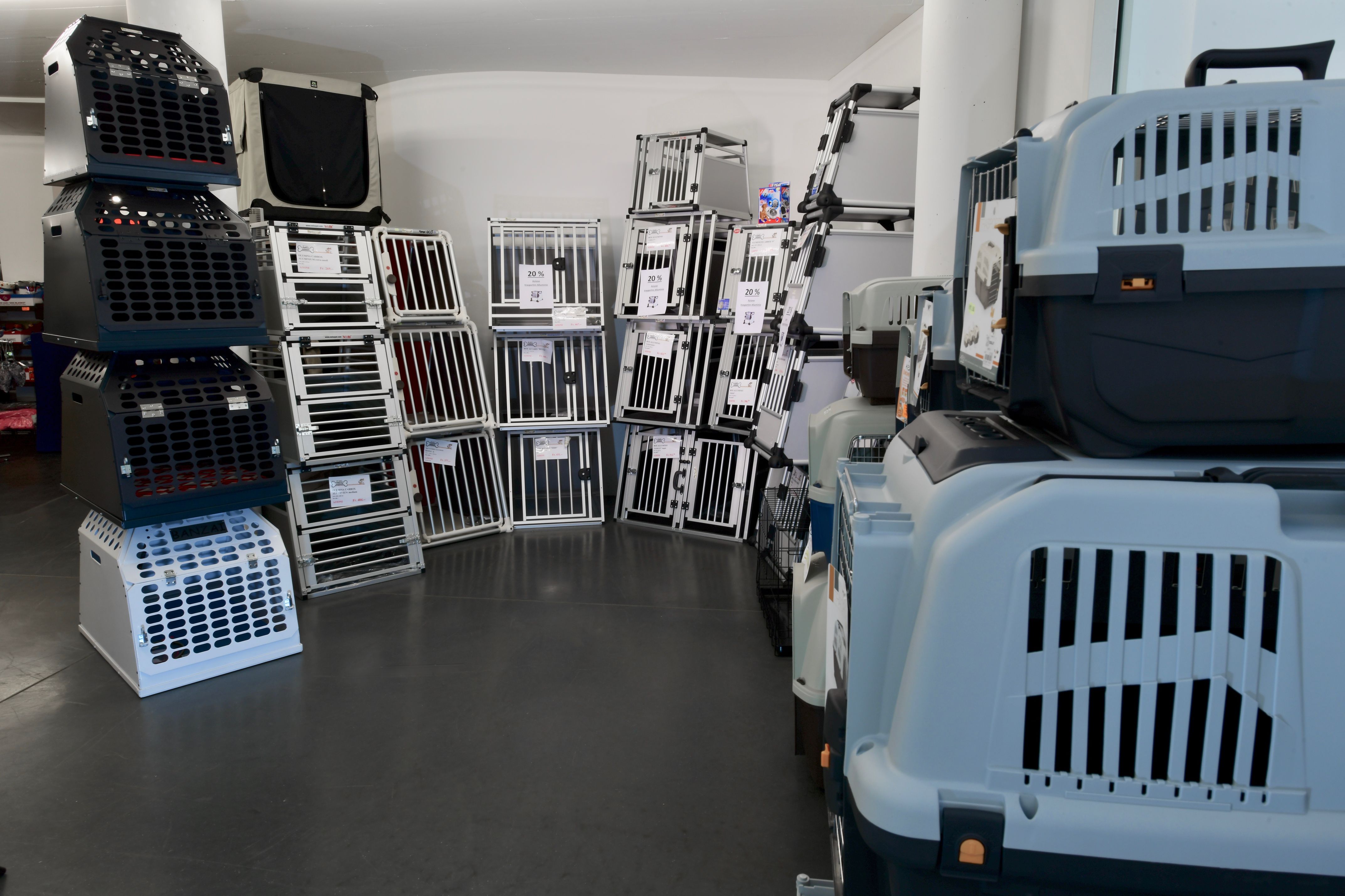 Bilder Amico Animale