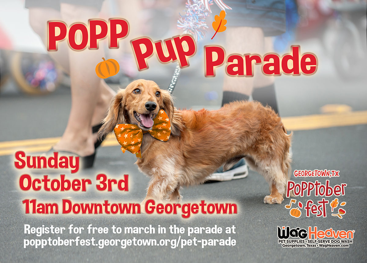 Image of Local Pet Event The POPPtoberfest POPP Pup Parade In Downtown Georgetown Nearby