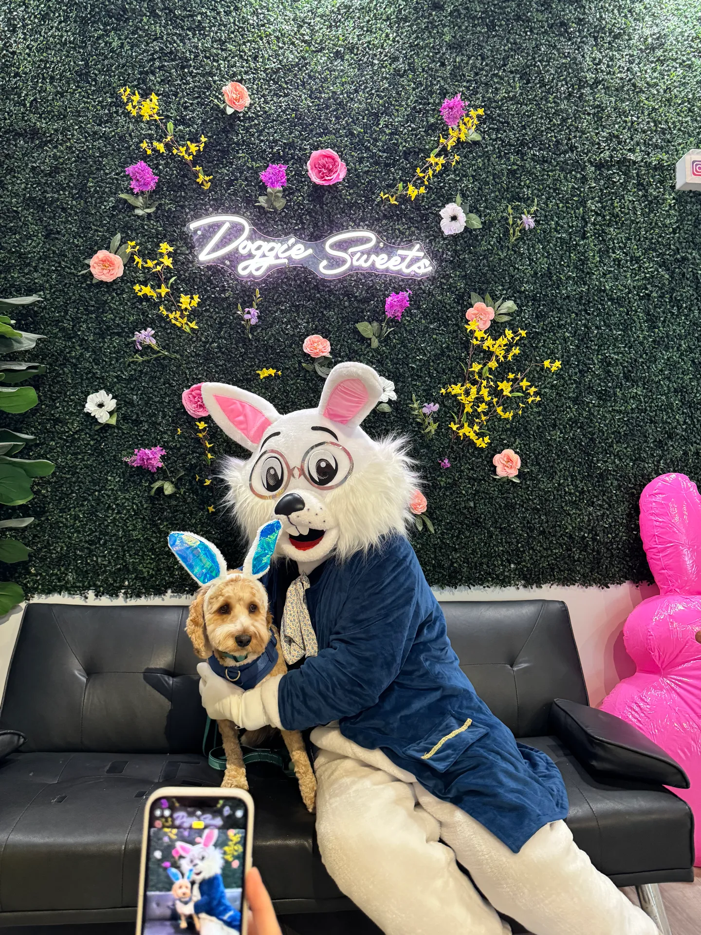 Image of Local Pet Event CAFE EVENT: Bunny Pictures Nearby
