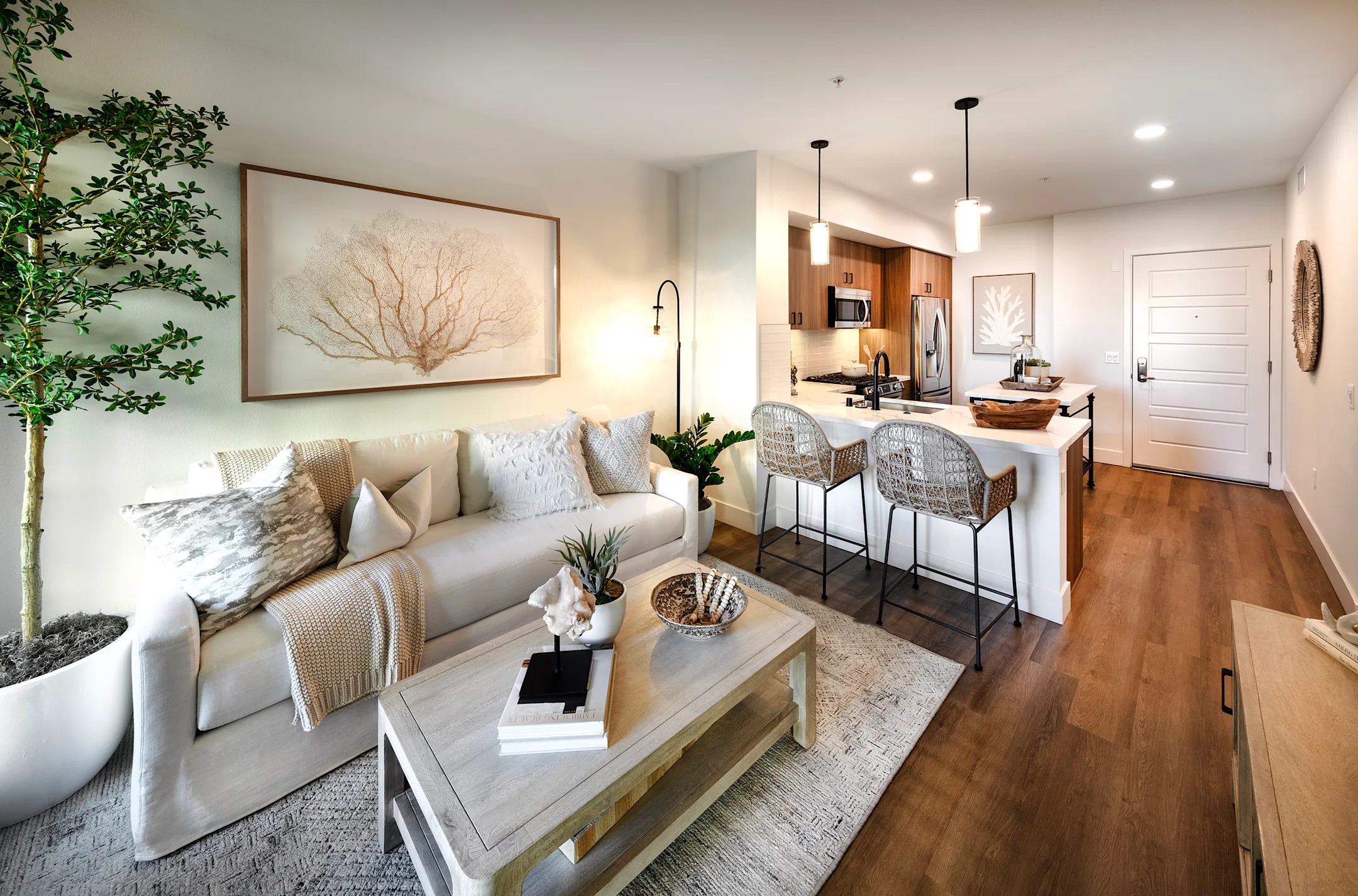 Living Room & Kitchen