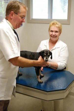 Images VCA Smoketown Animal Hospital
