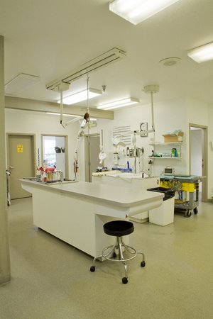 Images VCA Mountainview Animal Hospital & Pet Lodge