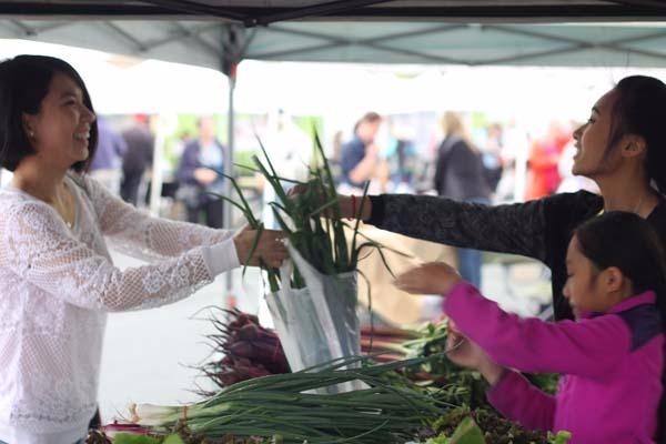 At the Maple Grove Farmers Market, we feature a lot of different vendors. Our vendors offer produce, meat and egg products, flowers, artisan foods, and much more. Visit our website to learn more about the large variety of foods available at the Maple Grove Farmers Market!