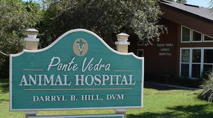 Images VCA Ponte Vedra Animal Hospital