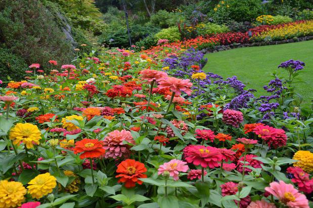 Images The Garden Hose