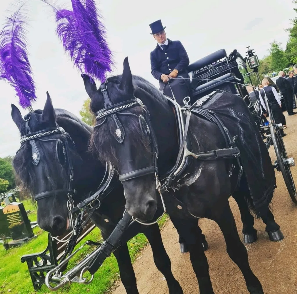 Images Michael G Ryan Son & Daughters