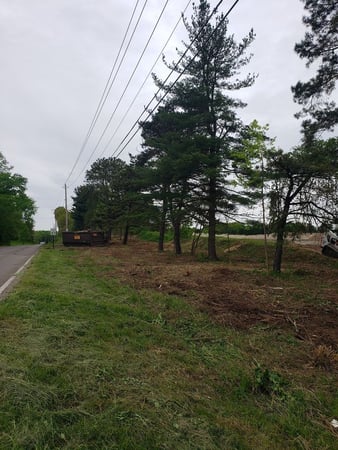 Images L&M Tree Service