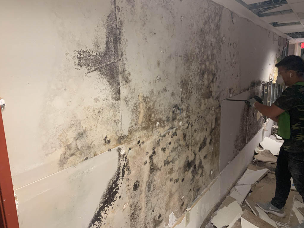 SERVPRO of Jacksonville Westside/ Orange Park has a certified and experienced crew that can treat mold damage in Holly Point, FL of any size or severity. Please give us a call!