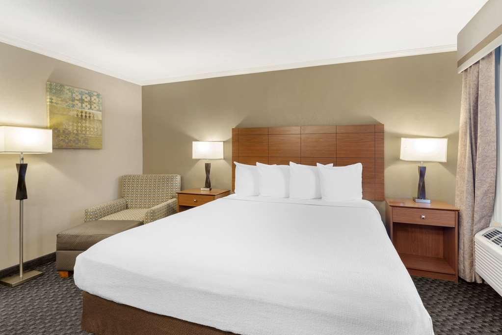 King Room