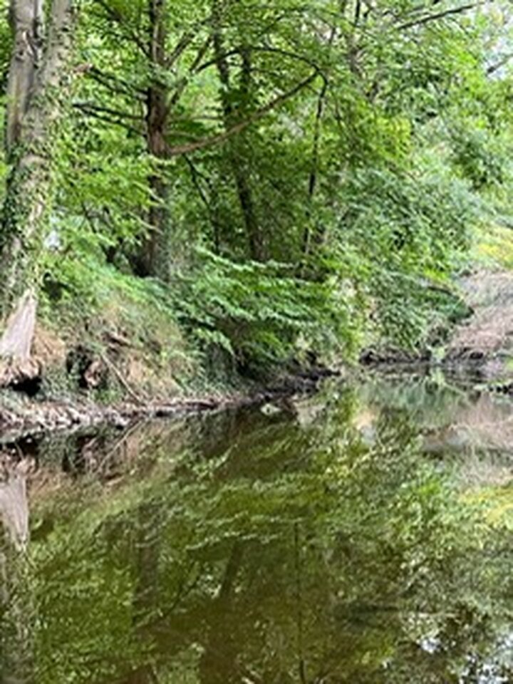 Bilder Ferienhaus am Fluss