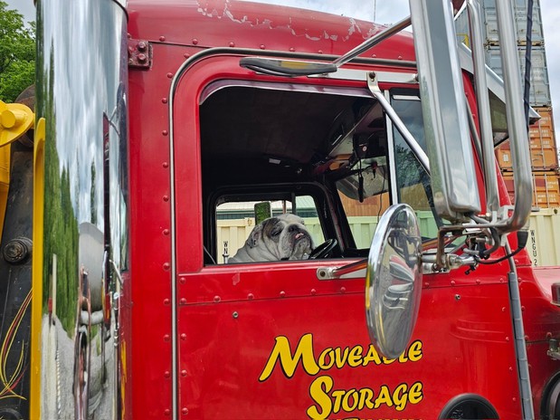 Images Movable Storage