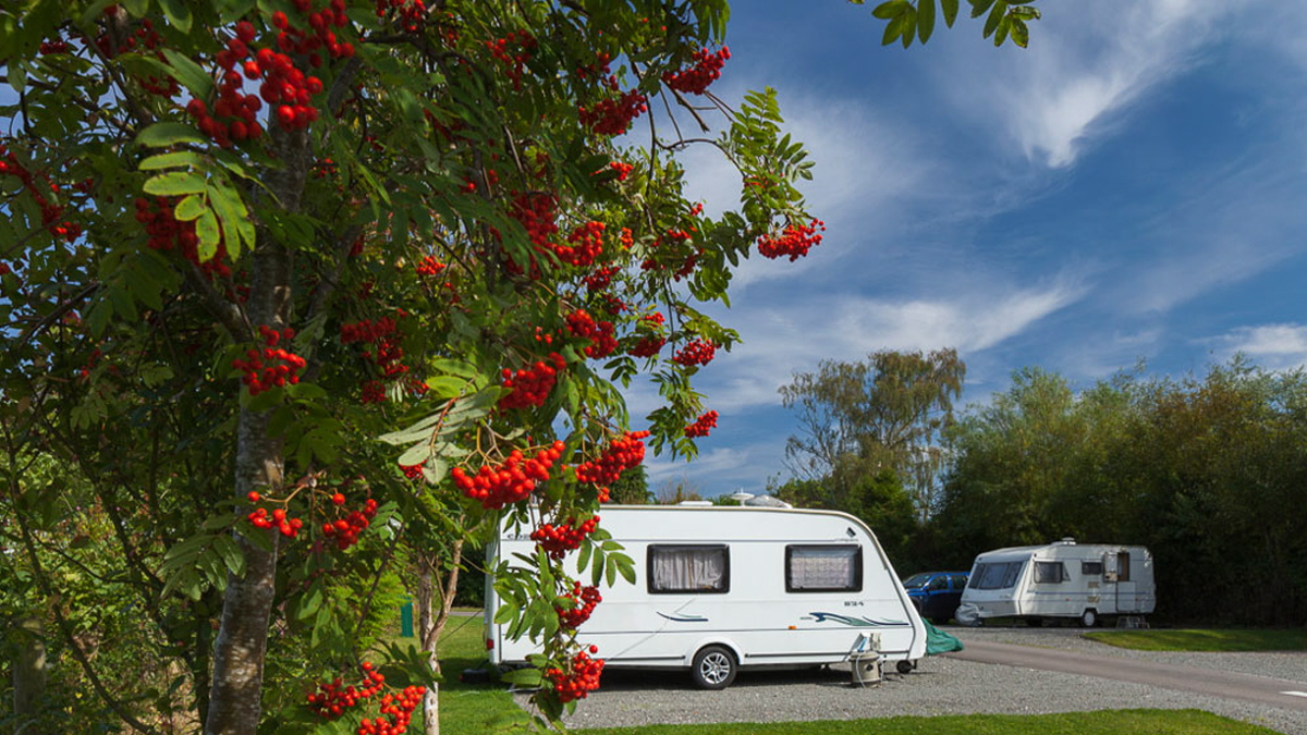 Images The Firs Caravan and Motorhome Club Campsite