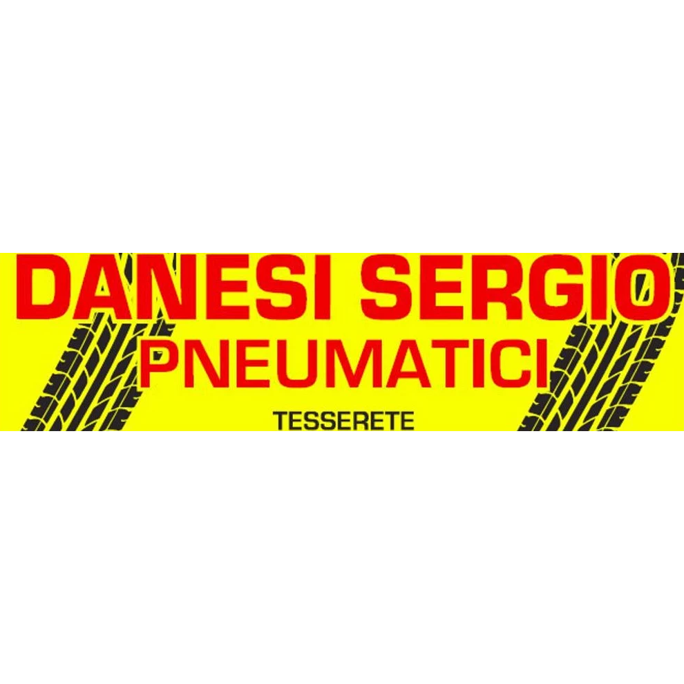 Danesi Sergio Pneumatici Logo