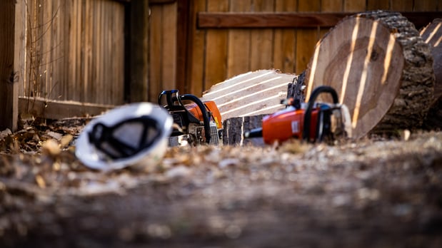 Images King Tree Service