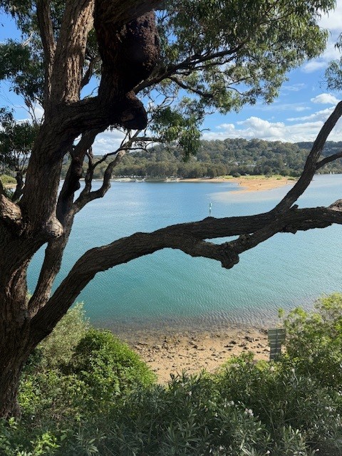 Images Property Valuations NSW