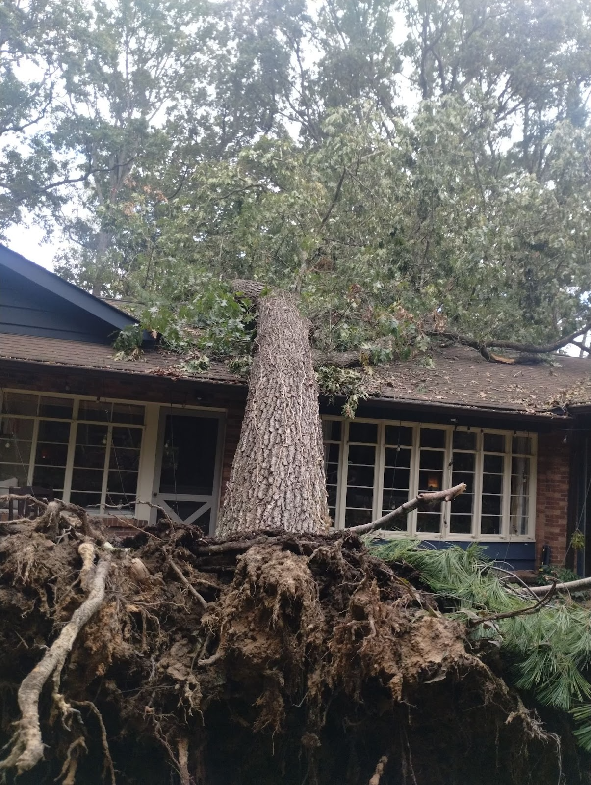 VanGordon Tree & Land Solutions Image